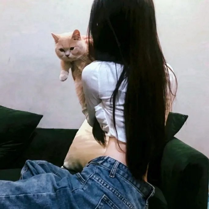 干支魂:猫客万来